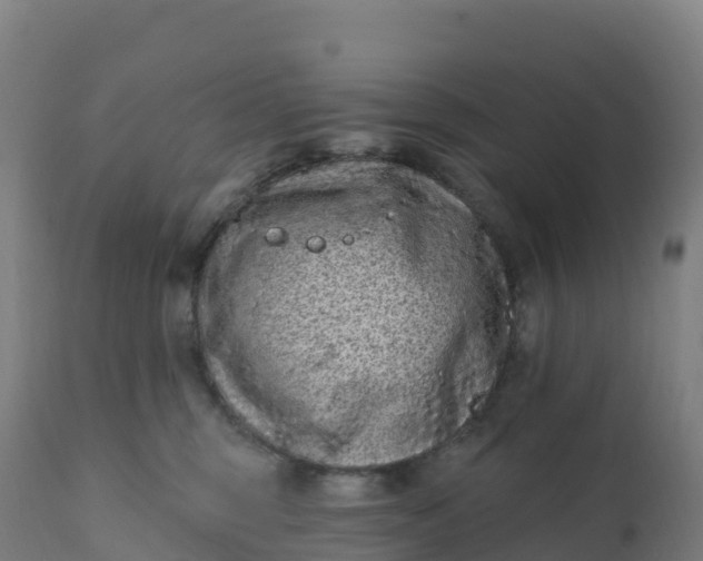 X0000112420375200908281844