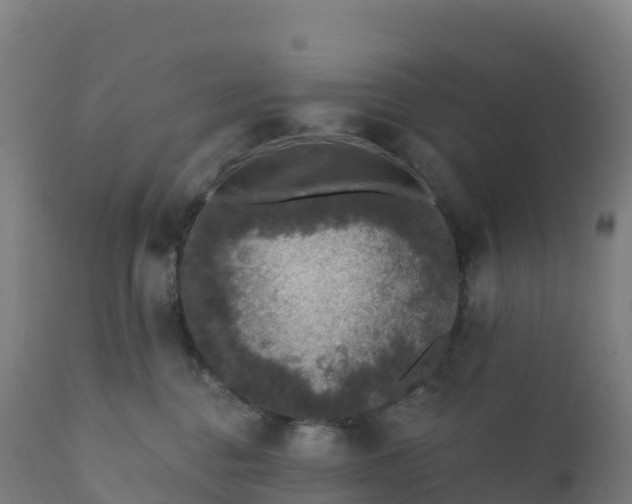 X0000112420376200908281844