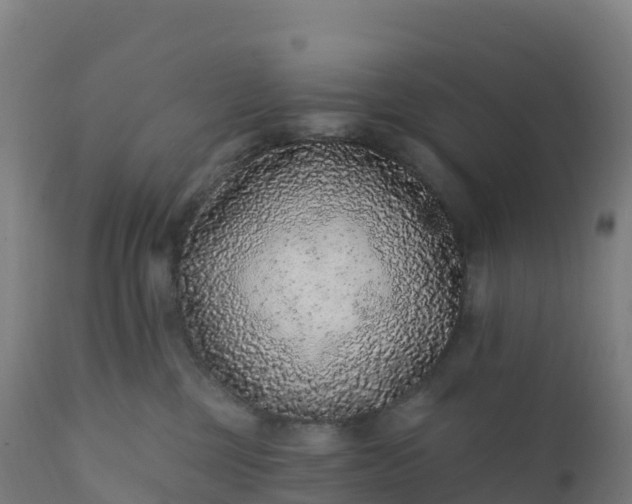 X0000112420377200908281844