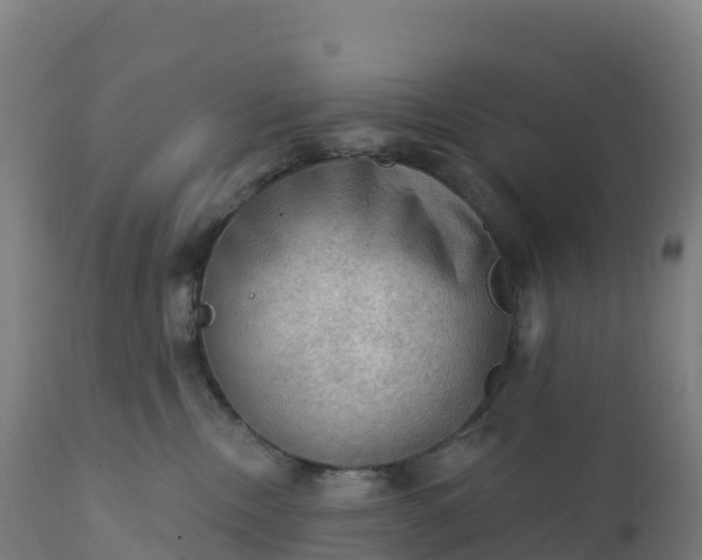 X0000112420378200908281844