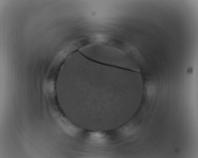 X0000112420380200908281844