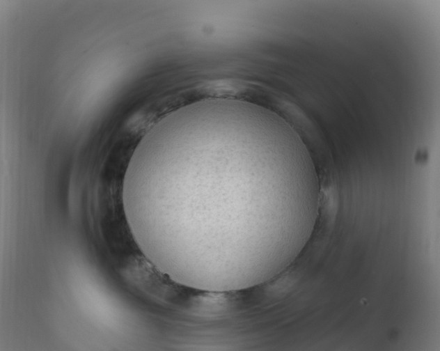 X0000112420381200908281844