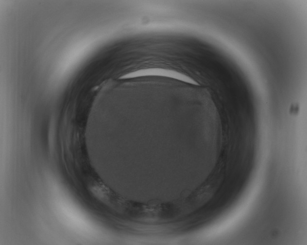 X0000112420382200908281844