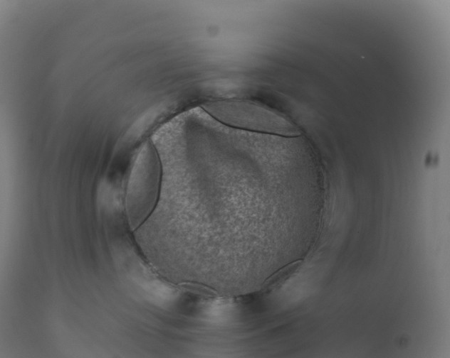 X0000112420384200908281844