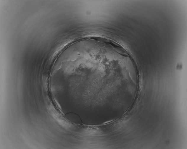 X0000112420386200908281843