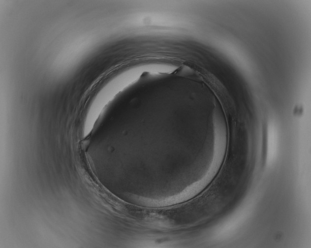 X0000112420387200908281843