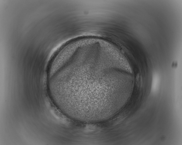 X0000112420388200908281843