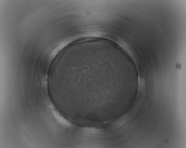 X0000112420389200908281843