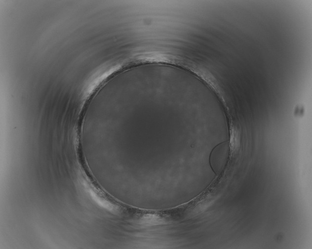 X0000112420390200908281843