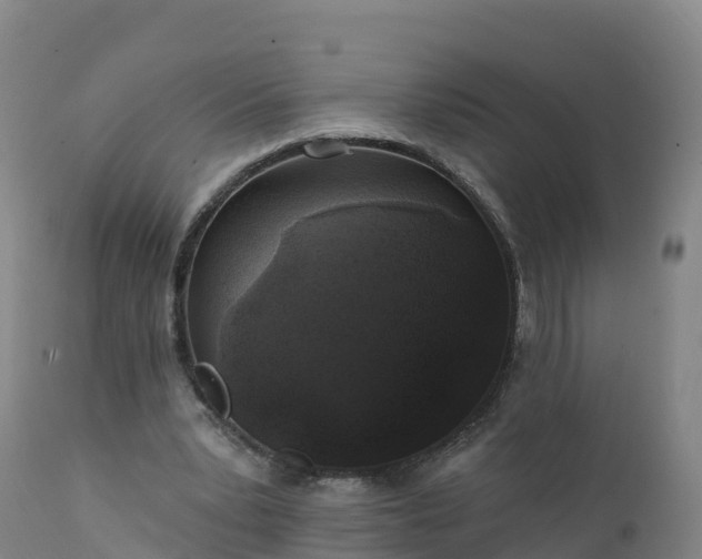 X0000112420391200908281843