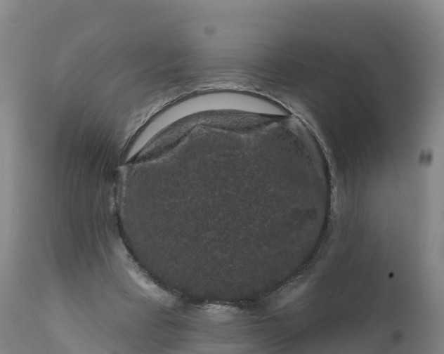 X0000112420393200908281843