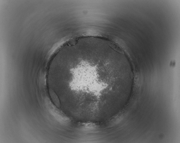 X0000112420395200908281843