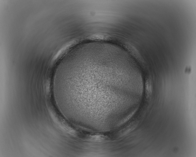 X0000112420396200908281843