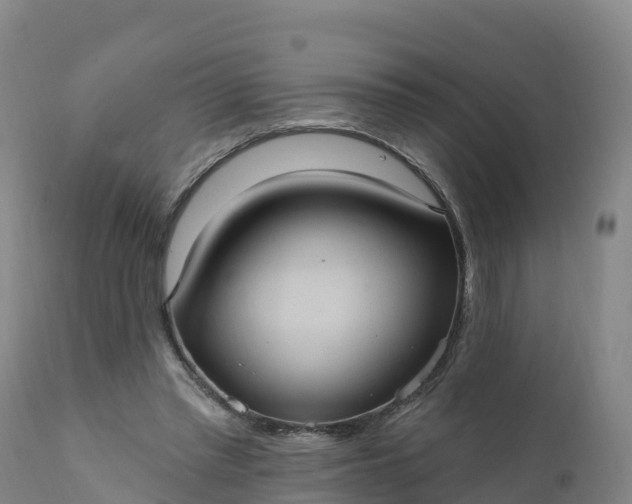 X0000112420397200908281843