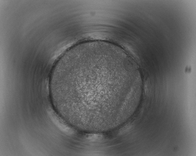 X0000112420398200908281843