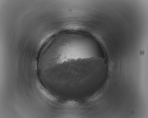 X0000112420399200908281843