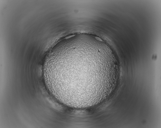 X0000112420401200908281843