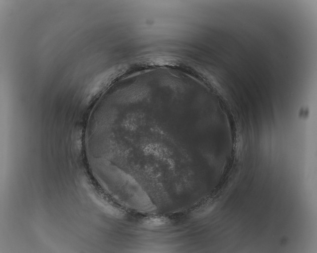 X0000112420402200908281843