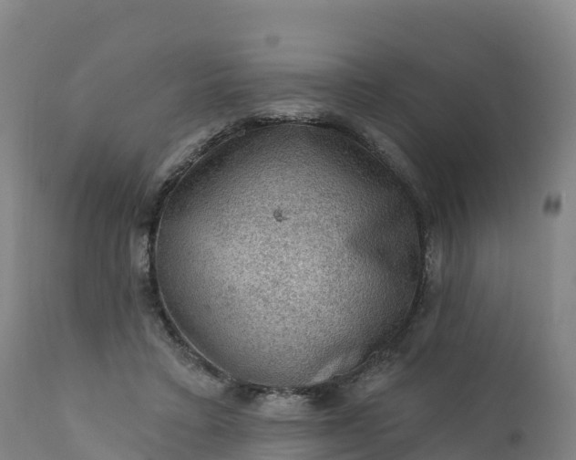 X0000112420403200908281843