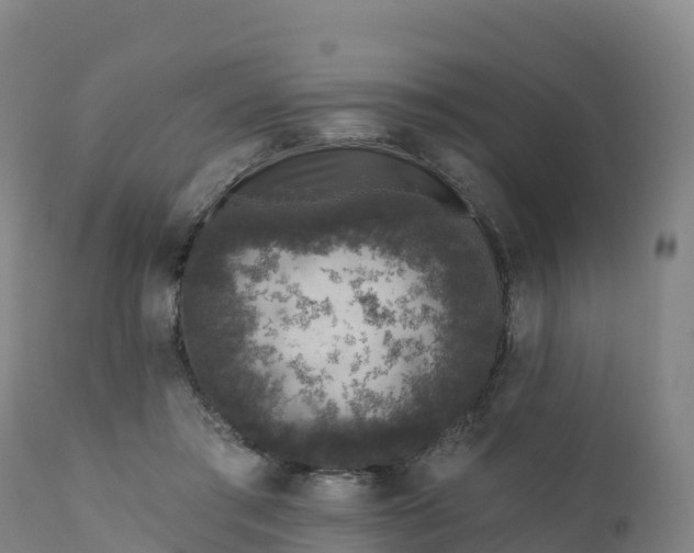 X0000112420405200908281843