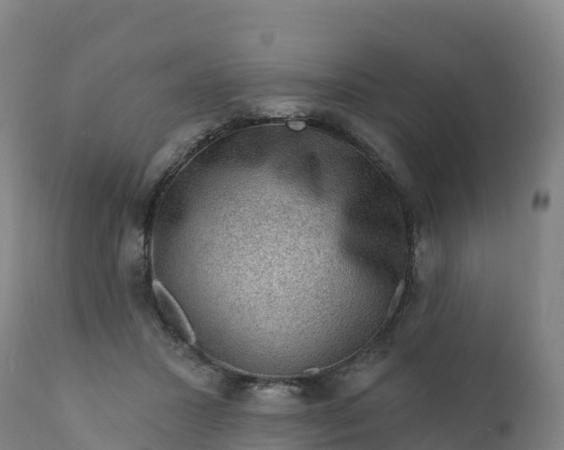 X0000112420407200908281843