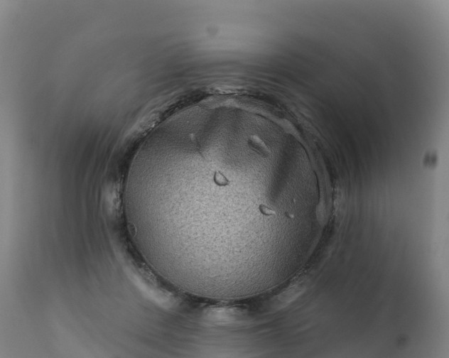 X0000112420408200908281843