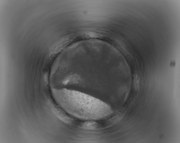 X0000112420410200908281843