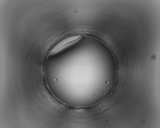 X0000112420411200908281843