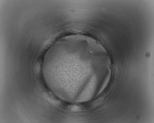 X0000112420412200908281843