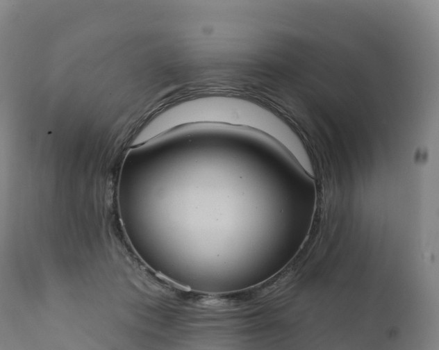 X0000112420413200908281843