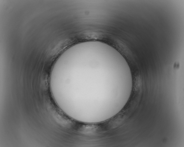 X0000112420414200908281843