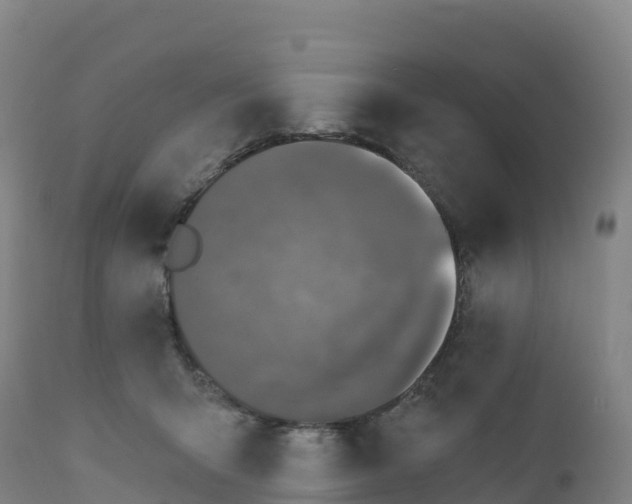 X0000112420415200908281843