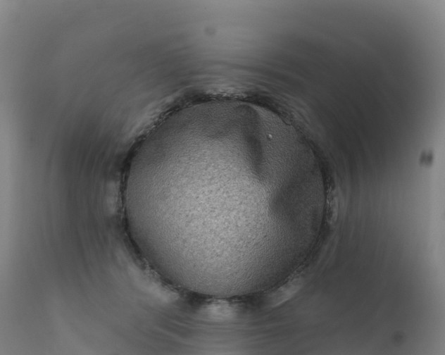 X0000112420416200908281843