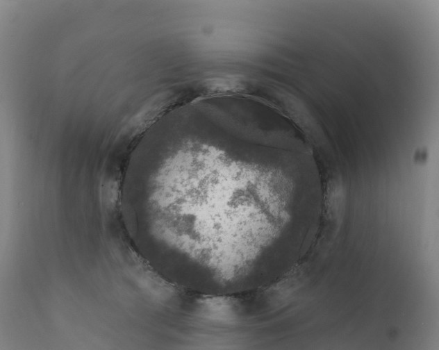 X0000112420417200908281843