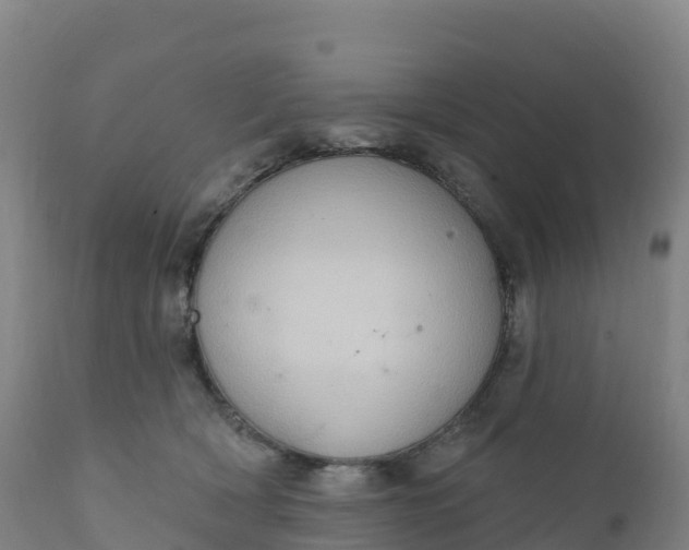 X0000112420418200908281843