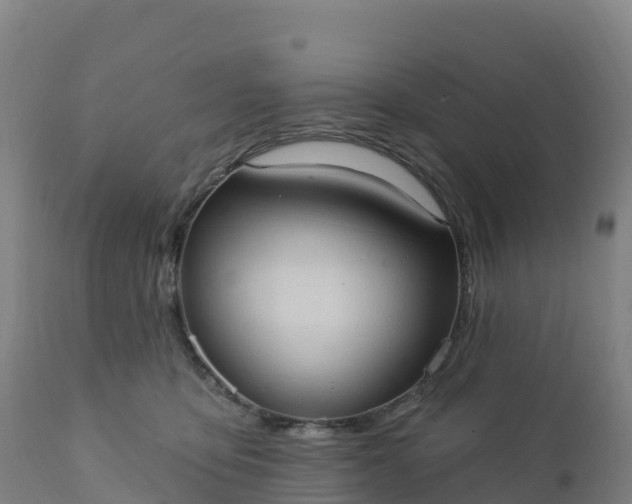 X0000112420419200908281843