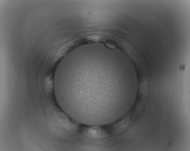 X0000112420420200908281843