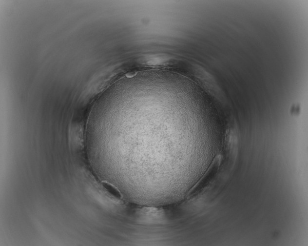 X0000112420421200908281843