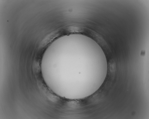 X0000112420422200908281843