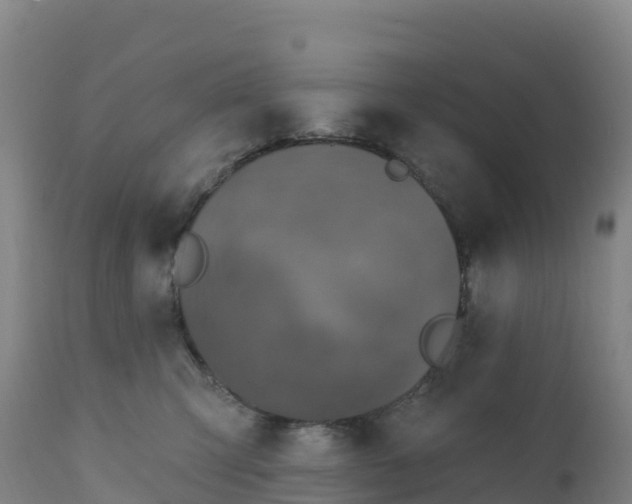 X0000112420423200908281843