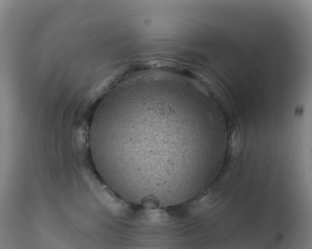 X0000112420424200908281843