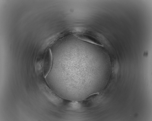 X0000112420425200908281843