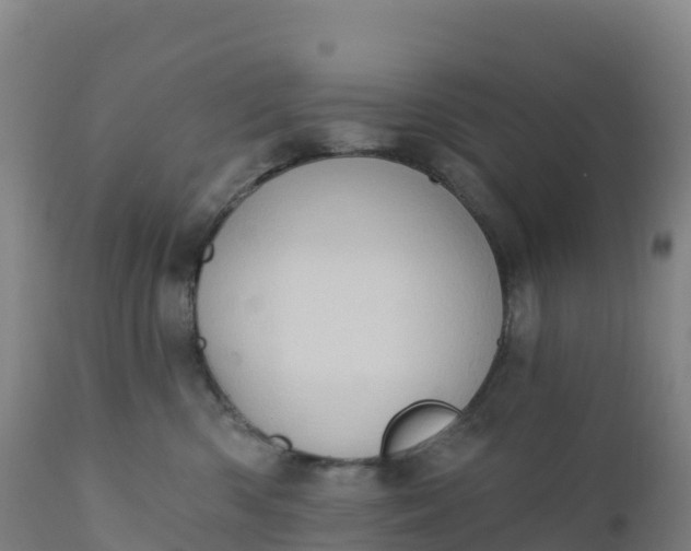 X0000112420426200908281843