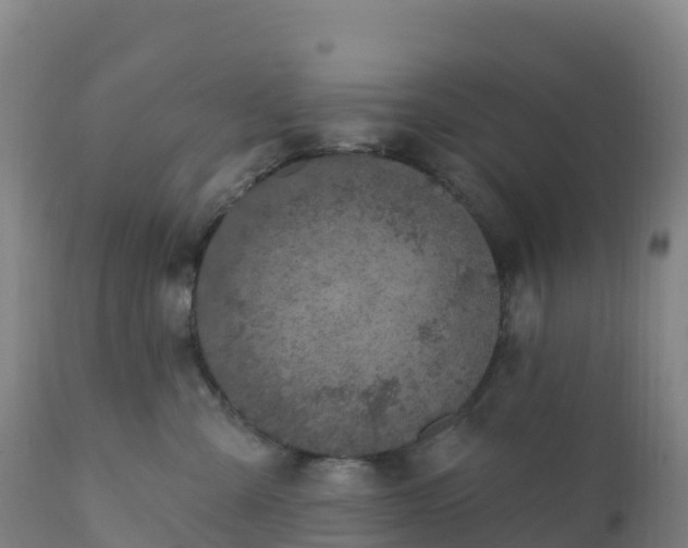 X0000112420427200908281843