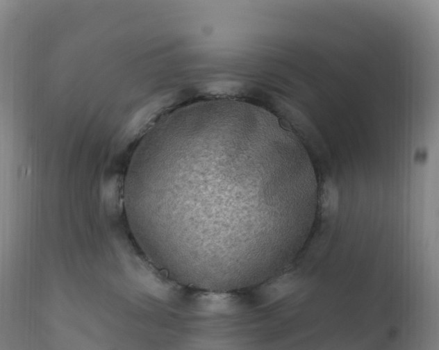 X0000112420428200908281843