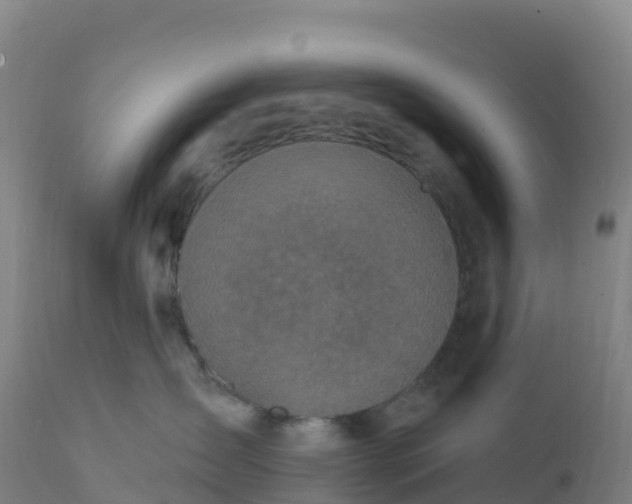 X0000112420431200908281843