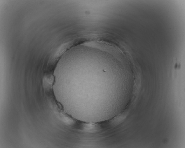 X0000112420432200908281843