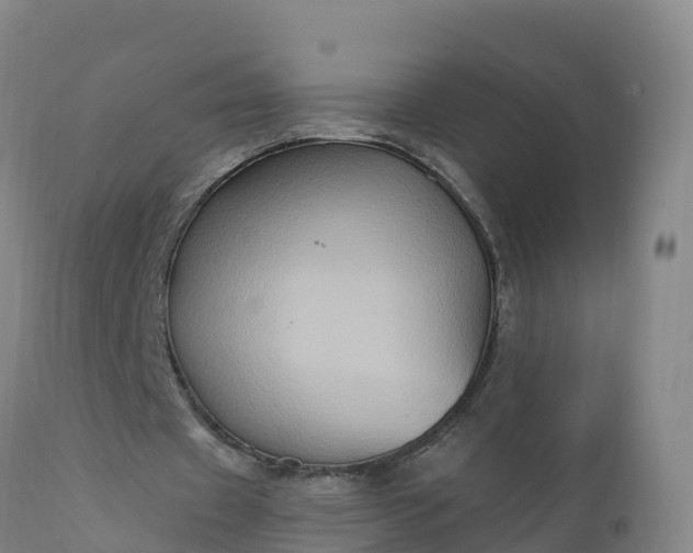 X0000112420433200908281842