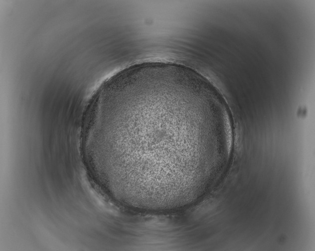 X0000112420434200908281842