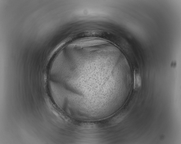 X0000112420435200908281842